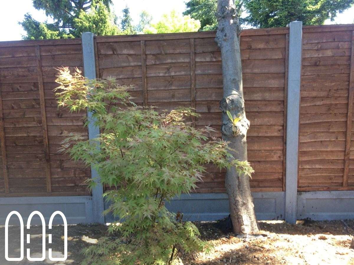 Waney fencing with concrete posts and gravel boards